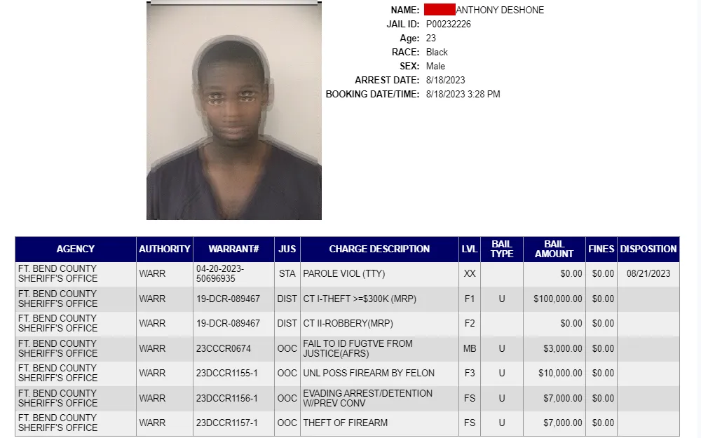 A screenshot of the search tool that allows users to search for arrestees booked in the jail.